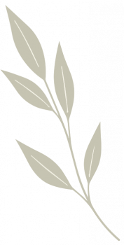leaf1-mirror