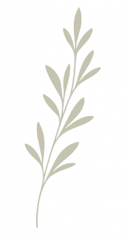 leaf2
